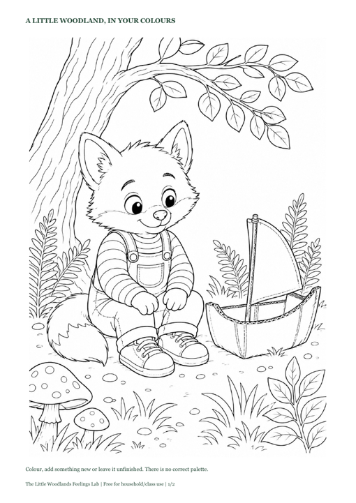 Preview of Woodland Colouring Pack, with illustrations and activity guidance