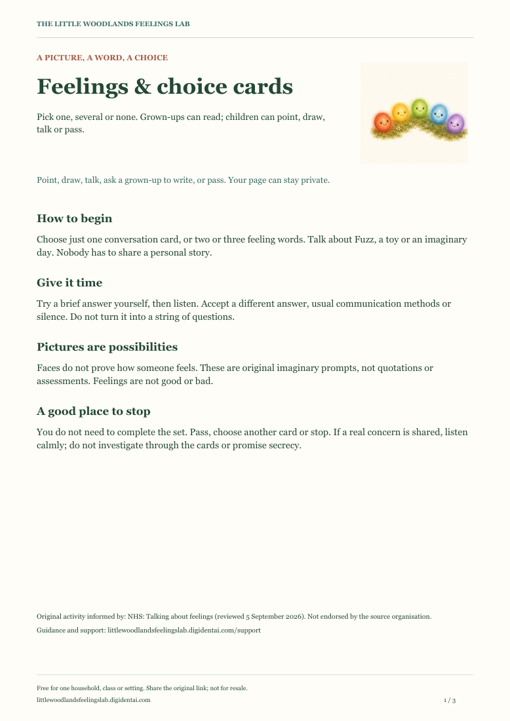 Preview of Feelings & Choice Cards, with illustrations and activity guidance